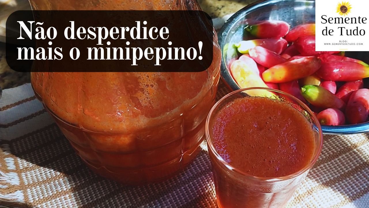 minipepino-maduro-como-usar