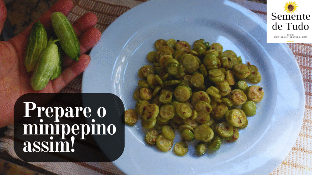 Minipepino-salteado.